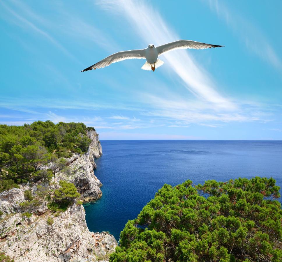 مبيت وإفطار Luka  Pansion Alen - Dugi Otok المظهر الخارجي الصورة