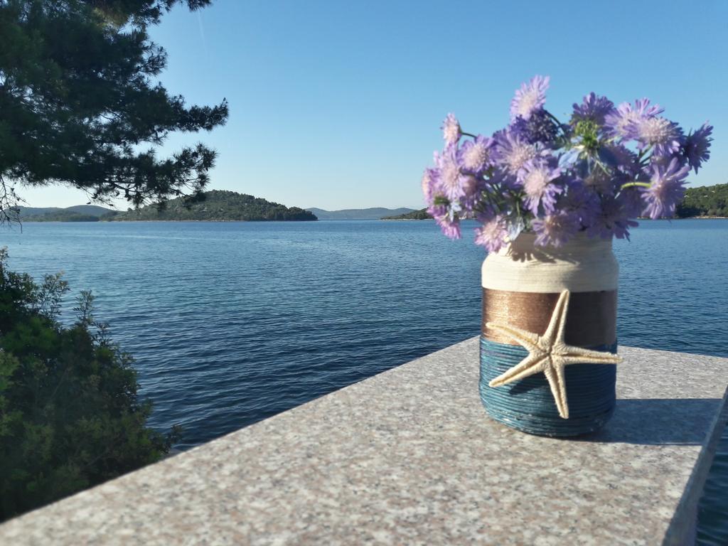 مبيت وإفطار Luka  Pansion Alen - Dugi Otok المظهر الخارجي الصورة